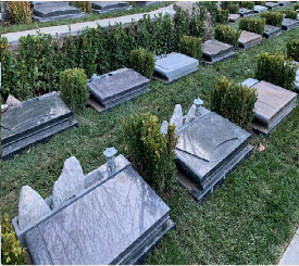 详细了解怀柔渤海镇墓地